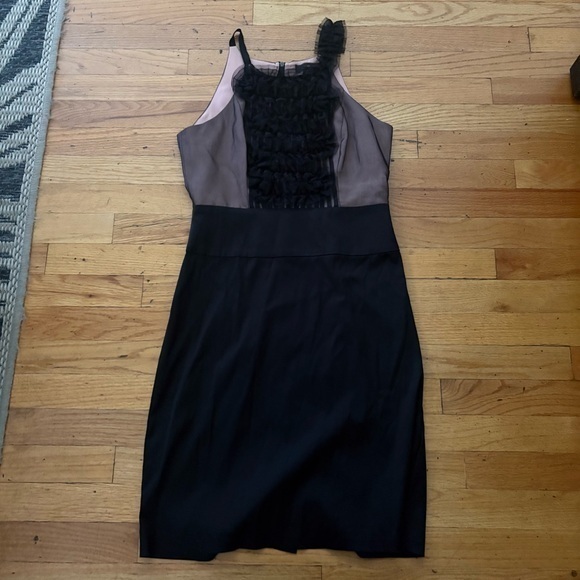 BCBGMaxAzria Dresses & Skirts - BCBG Black & Nude Silk Dress Size 6